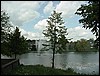 vijver